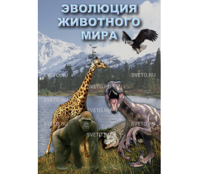 Диск "Эволюция животного мира"